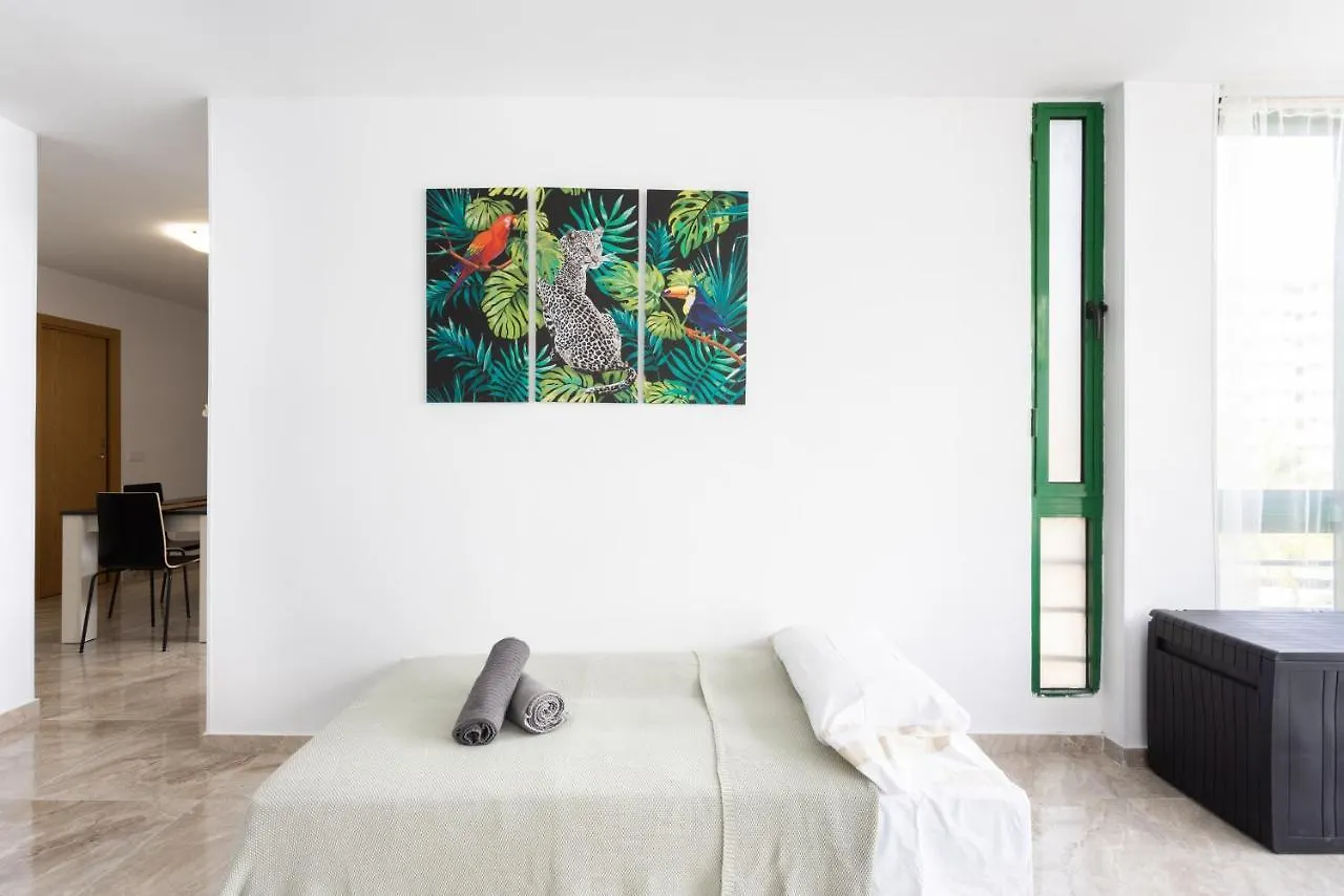 Black Cat Surf House 1 D Hotell Arona  Pensionat Arona (Tenerife)